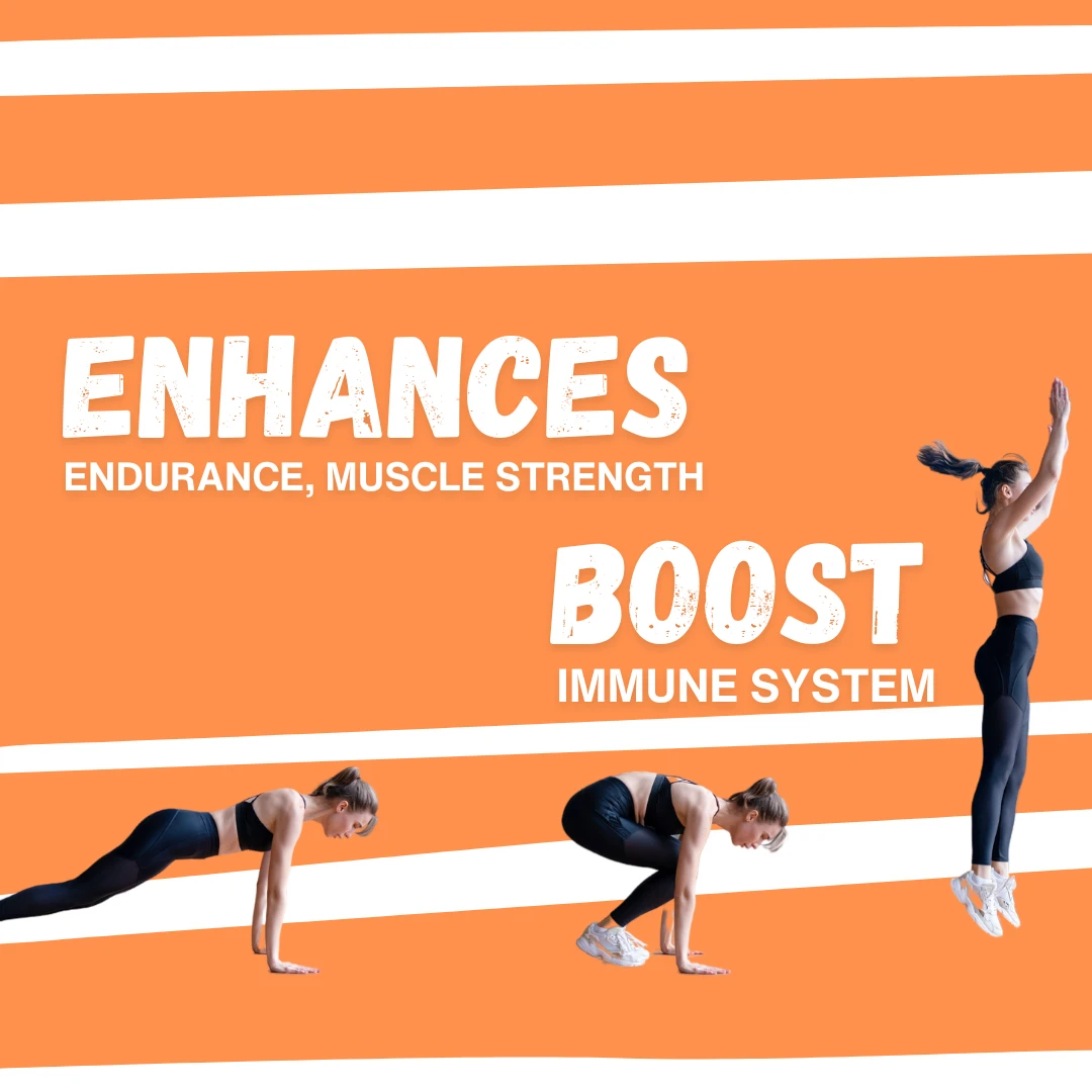 Enhances endurance, muscle strength. boost immune system